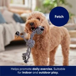 Frisco Zebra Rope Squeaky Dog Toy -Dog Supplies Sale 242163 PT3. AC SS1800 V1691785245