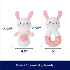 Frisco Bunny Plush Squeaky Puppy Toy -Dog Supplies Sale 245916 PT1. AC SS1800 V1695760934