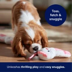 Frisco Bunny Plush Squeaky Puppy Toy -Dog Supplies Sale 245916 PT3. AC SS1800 V1695760959