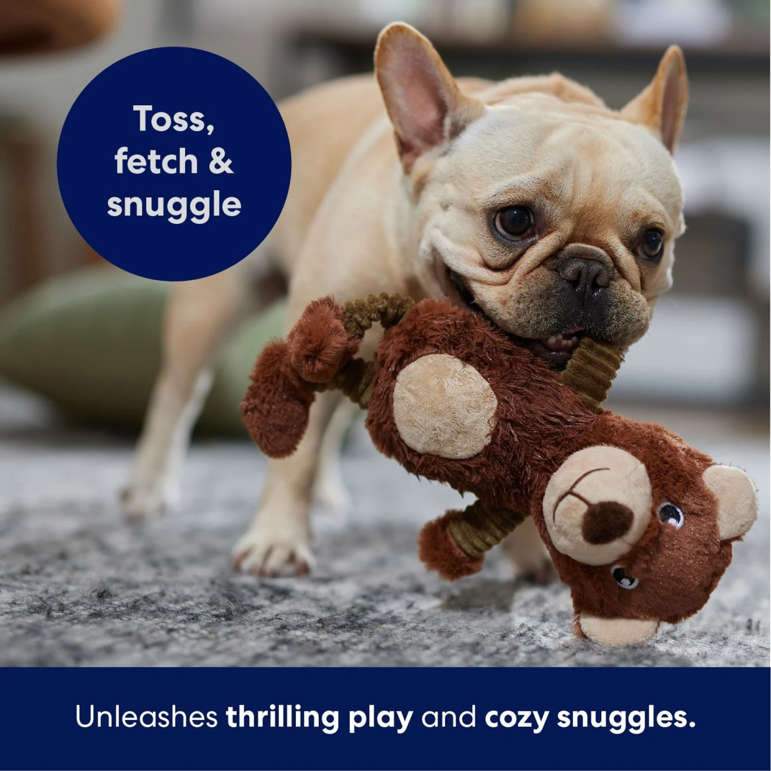 Frisco Bear Plush Squeaky Dog Toy 7 Frisco Bear Plush Squeaky Dog Toy - Image 5