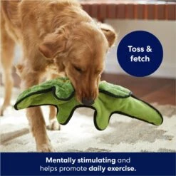 Frisco Alligator Stuffing-Free Flat Plush Squeaky Dog Toy -Dog Supplies Sale 245943 PT2. AC SS1800 V1678723898