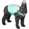 Frisco Active Dog Life Jacket -Dog Supplies Sale 247894 MAIN. AC SS1800 V1613407958