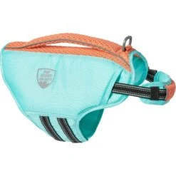 Frisco Active Dog Life Jacket -Dog Supplies Sale 247894 PT4. AC SS1800 V1622903560