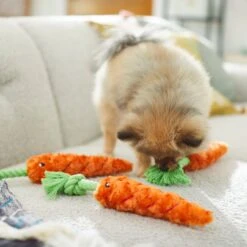 Frisco Easter Carrot Plush With Rope Dog Toy -Dog Supplies Sale 248023 PT5. AC SS1800 V1608769360