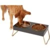 Frisco Copper Stainless Steel Elevated Foldable Double Dog & Cat Bowls -Dog Supplies Sale 253060 MAIN. AC SS1800 V1616073913