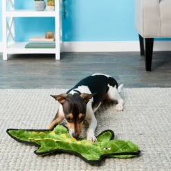 Frisco Alligator Stuffing-Free Flat Plush Squeaky Dog Toy & Frisco Raccoon Stuffing-Free Flat Plush Squeaky Dog Toy -Dog Supplies Sale 255471 PT2. AC SS1800 V1602691584