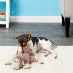 Frisco Monkey Plush Squeaky Dog Toy & Frisco Fox Plush Squeaky Dog Toy -Dog Supplies Sale 255597 PT2. AC SS1800 V1602702685