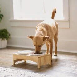 Frisco Ceramic Dog & Cat Double Diner With Elevated Wood Stand -Dog Supplies Sale 256052 PT2. AC SS1800 V1615311142