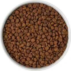 Frisco Paw Prints Non-skid Ceramic Bowl -Dog Supplies Sale 256072 PT5. AC SS1800 V1615312318