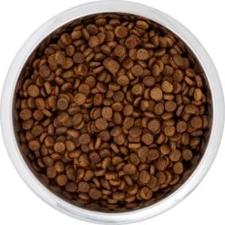 Frisco Black Iron Non-Skid Stainless Steel Dog & Cat Bowl -Dog Supplies Sale 257152 PT4. AC SS1800 V1615311427