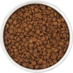 Frisco Insulated Two-Toned Non-Skid Stainless Steel Dog & Cat Bowl -Dog Supplies Sale 257168 PT4. AC SS1800 V1612367255