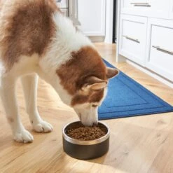 Frisco Insulated Two-Toned Non-Skid Stainless Steel Dog & Cat Bowl -Dog Supplies Sale 257168 PT8. AC SS1800 V1615840126