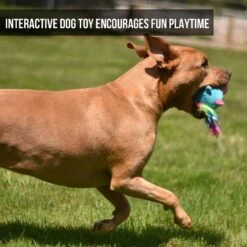 Hyper Pet Doggie Pal Unicorn Squeaky Interactive Plush Dog Toy -Dog Supplies Sale 258938 PT3. AC SS1800 V1605914537