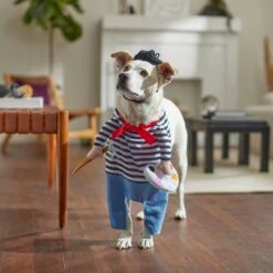 Frisco Front Walking French Artist Dog & Cat Costume -Dog Supplies Sale 260956 PT8. AC SS1800 V1689623916