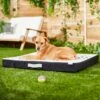 Frisco Indoor/Outdoor Arrow Print Pillow Dog Bed W/Removable Cover -Dog Supplies Sale 262153 MAIN. AC SS1800 V1619807962