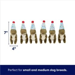 Frisco Birthday Volcano & Dinosaurs Hide & Seek Puzzle Plush Squeaky Dog Toy -Dog Supplies Sale 264424 PT2. AC SS1800 V1695761147