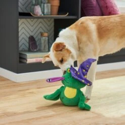 Frisco Magic Wizard Frog Plush Squeaky Dog Toy -Dog Supplies Sale 265588 PT3. AC SS1800 V1620939075