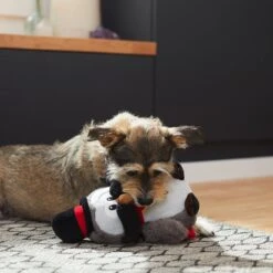 Frisco Magic Owl Plush Squeaky Dog Toy 7 Frisco Magic Owl Plush Squeaky Dog Toy -Dog Supplies Sale 265596 PT3. AC SS1800 V1623352167