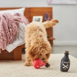 Frisco Magic Potions Latex Squeaky Dog Toy, 2 Count -Dog Supplies Sale 265632 PT3. AC SS1800 V1620939021