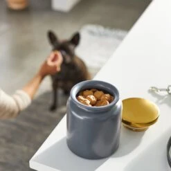 Frisco Modern Gold Rim Ceramic Treat Jar -Dog Supplies Sale 270190 PT2. AC SS1800 V1620762371