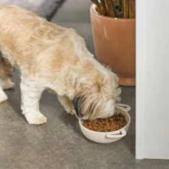 Frisco Dog Face Non-skid Ceramic Cat & Dog Bowl -Dog Supplies Sale 270226 PT2. AC SS1800 V1620762156