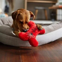 Frisco Halloween Wicked Cute Bone Reversible Plush Squeaky Dog Toy -Dog Supplies Sale 270357 PT3. AC SS1800 V1624817551