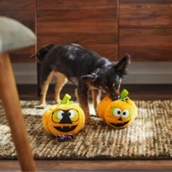 Frisco Halloween Nerdy Jack-o-Lanterns Plush Squeaky Dog Toy -Dog Supplies Sale 270431 PT3. AC SS1800 V1624817796