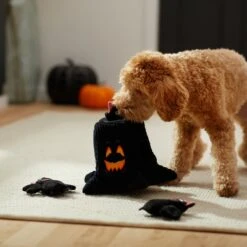 Frisco Halloween Haunted Tree Hide & Seek Puzzle Plush Squeaky Dog Toy 11 Frisco Halloween Haunted Tree Hide & Seek Puzzle Plush Squeaky Dog Toy -Dog Supplies Sale 270488 PT3. AC SS1800 V1624817078