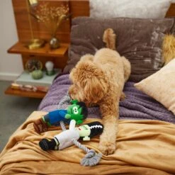 Frisco Halloween Frankenstein & Bride Plush With Rope Squeaky Dog Toy -Dog Supplies Sale 270496 PT3. AC SS1800 V1624824775