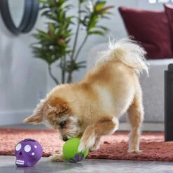 Frisco Halloween Sugar Skulls Latex Squeaky Dog Toy 7 Frisco Halloween Sugar Skulls Latex Squeaky Dog Toy -Dog Supplies Sale 270518 PT3. AC SS1800 V1689878507