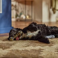 Frisco Halloween Candy Corn & Ghosts TPR Bone Squeaky Dog Toy, 2 Count -Dog Supplies Sale 270529 PT3. AC SS1800 V1689876508