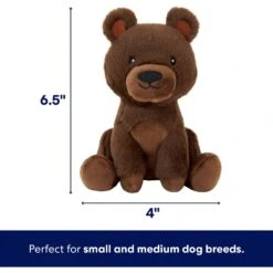 Frisco Camping Bear Plush Squeaky Dog Toy -Dog Supplies Sale 270999 PT1. AC SS1800 V1686579199