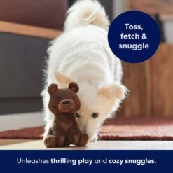 Frisco Camping Bear Plush Squeaky Dog Toy -Dog Supplies Sale 270999 PT5. AC SS1800 V1691785245