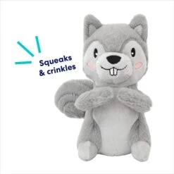 Frisco Camping Squirrel Plush Squeaky Dog Toy -Dog Supplies Sale 271001 PT2. AC SS1800 V1686579152