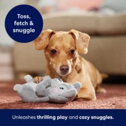 Frisco Camping Squirrel Plush Squeaky Dog Toy -Dog Supplies Sale 271001 PT5. AC SS1800 V1691785245