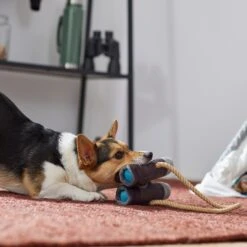 Frisco Camping Binoculars Plush With Rope Squeaky Dog Toy -Dog Supplies Sale 271009 PT3. AC SS1800 V1625009167