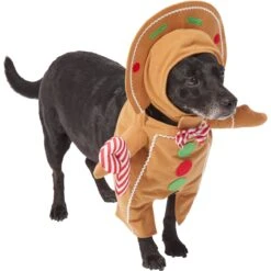 Frisco Front Walking Gingerbread Dog & Cat Costume -Dog Supplies Sale 276156 PT3. AC SS1800 V1631660334