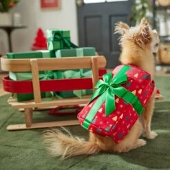 Frisco Holiday Giftbox Dog & Cat Costume -Dog Supplies Sale 276175 PT8. AC SS1800 V1631574832