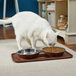 Frisco Silicone Stainless Steel Double Diner Dog & Cat Bowl, Brown -Dog Supplies Sale 277551 PT3. AC SS1800 V1630348104