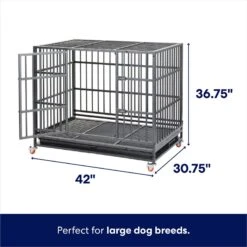 Dog Supplies Sale -Dog Supplies Sale 280395 PT1. AC SS1800 V1635514430