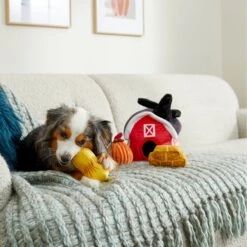 Frisco Fall Farmhouse Hide & Seek Puzzle Plush Squeaky Dog Toy -Dog Supplies Sale 285629 PT3. AC SS1800 V1629725107
