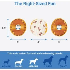 Frisco Fall Box Of Donuts Hide & Seek Puzzle Plush Squeaky Dog Toy -Dog Supplies Sale 285639 PT2. AC SS1800 V1636990890