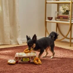 Frisco Fall Box Of Donuts Hide & Seek Puzzle Plush Squeaky Dog Toy -Dog Supplies Sale 285639 PT3. AC SS1800 V1629725027