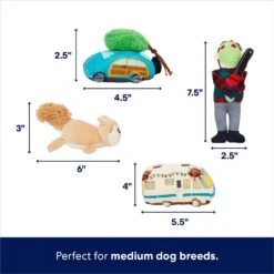 Frisco Holiday House Hide & Seek Puzzle Plush Squeaky Dog Toy -Dog Supplies Sale 287083 PT2. AC SS1800 V1695046042