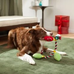 Frisco Holiday Lights Plush With Rope Squeaky Dog Toy -Dog Supplies Sale 287109 PT3. AC SS1800 V1632775707