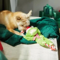 Frisco Holiday Monkey Plush With Rope Squeaky Dog Toy -Dog Supplies Sale 287115 PT3. AC SS1800 V1632774182