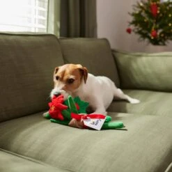 Frisco Flower Bouquet Plush Squeaky Dog Toy -Dog Supplies Sale 287163 PT3. AC SS1800 V1632776821