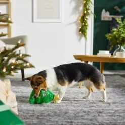 Frisco Holiday Tree Thin Plush Squeaky Dog Toy -Dog Supplies Sale 287167 PT3. AC SS1800 V1632773873
