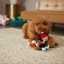 Frisco Holiday Carolers Plush Squeaky Dog Toy, 3 Count 7 Frisco Holiday Carolers Plush Squeaky Dog Toy, 3 Count -Dog Supplies Sale 287169 PT3. AC SS1800 V1632774907