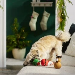 Frisco Holiday Santa & Friends Latex Squeaky Dog Toy -Dog Supplies Sale 287181 PT3. AC SS1800 V1632775363
